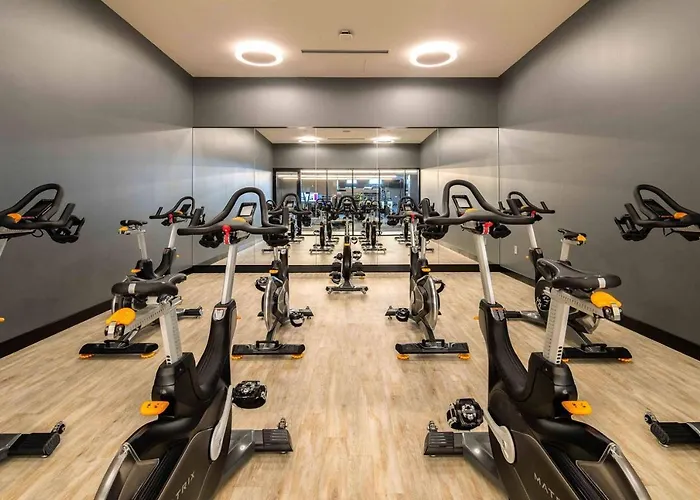 Apartment S Loop 2br W Pool Gym Nr Grant Park Chi-740 Chicago